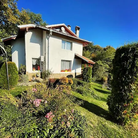 Penzion Diva 3*