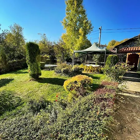 بيت ضيافة Diva