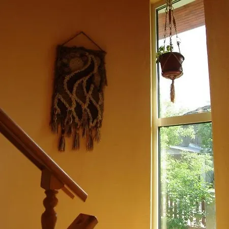 Diva بيت ضيافة 3*